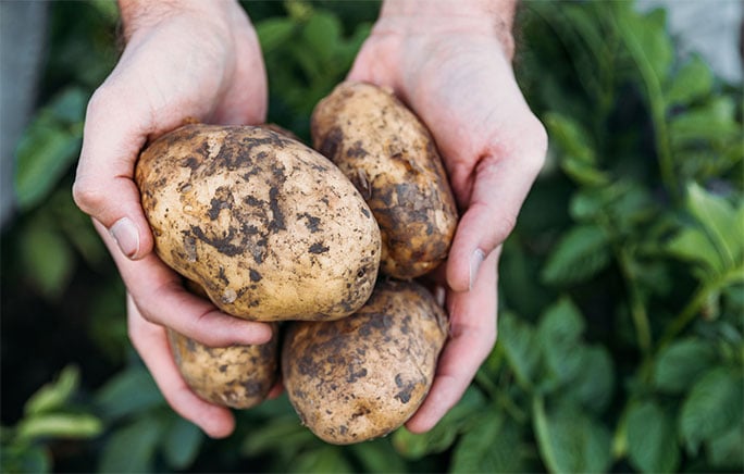 Expertise et innovation agricole