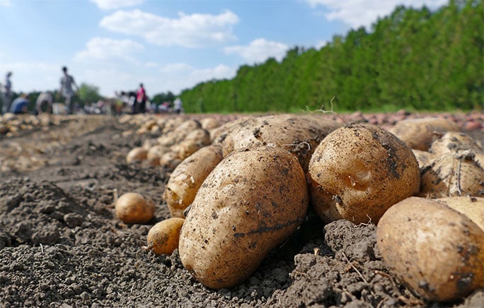Expertise et innovation agricole