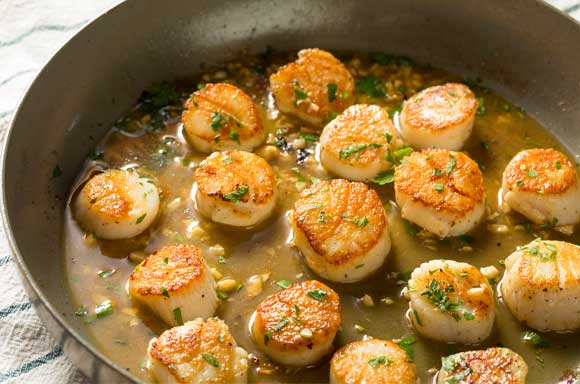 Scallops by Pearlmark | Mayrand Plus